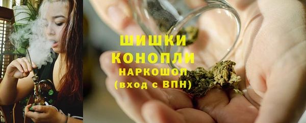 сатива Волоколамск