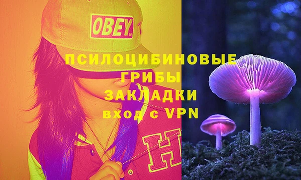 ECSTASY Вяземский