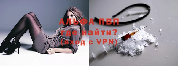 спиды Волосово