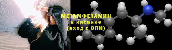сатива Волоколамск