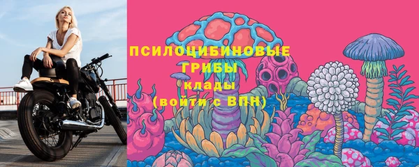сатива Волоколамск
