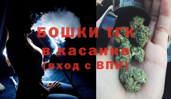 сатива Волоколамск