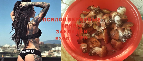спиды Волосово