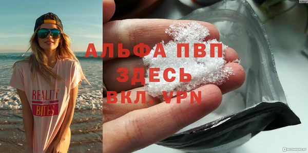 спиды Волосово