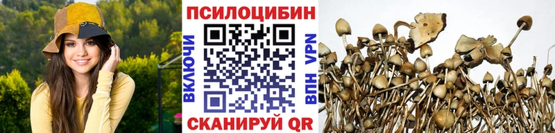 Псилоцибиновые грибы GOLDEN TEACHER  Знаменск 