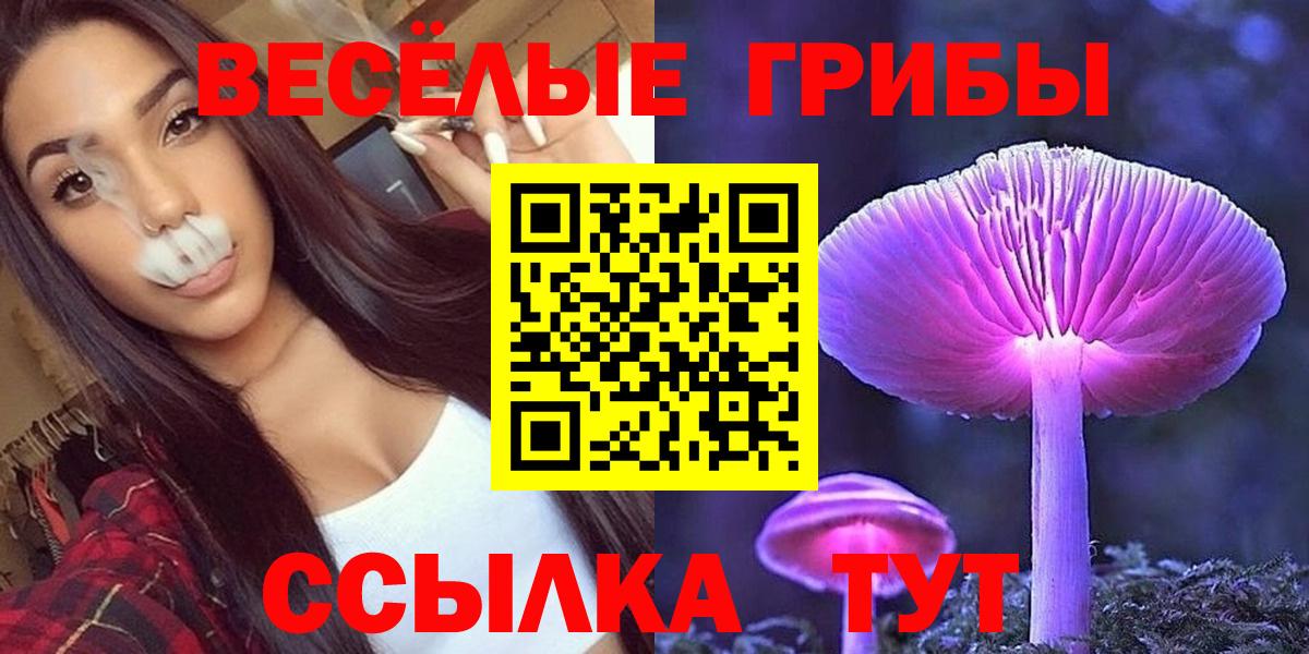 Псилоцибиновые грибы Cubensis  Вход с VPN  Галлюциногенные грибы Magic Shrooms  Знаменск 