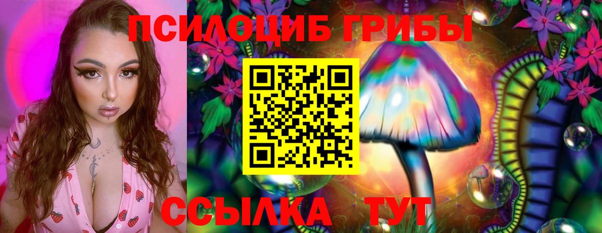 Галлюциногенные грибы ЛСД Знаменск